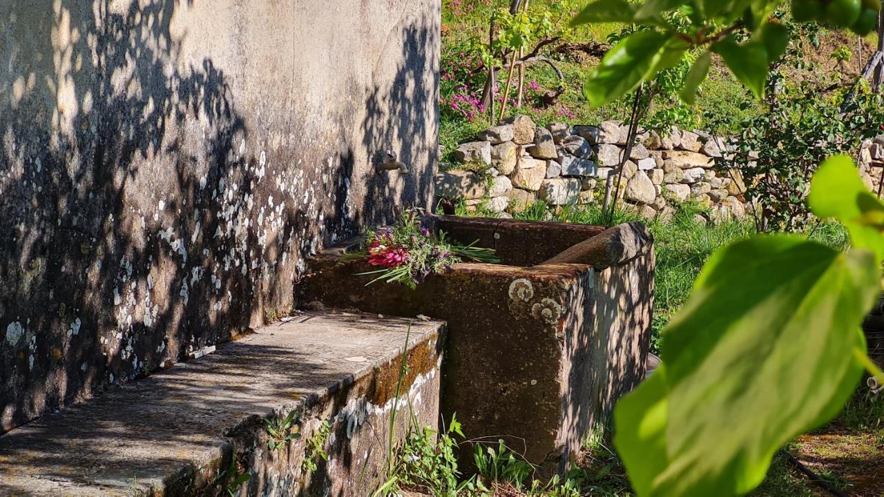 Apartamento La Casina Di Redinoce Marciana  Exterior foto